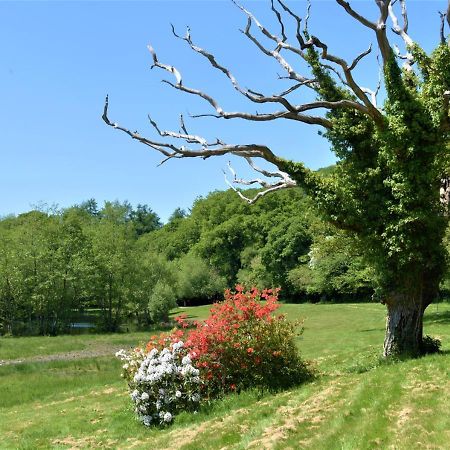 River Lodge - Cornwall Cardinham Bagian luar foto
