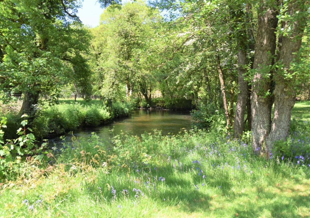 River Lodge - Cornwall Cardinham Bagian luar foto